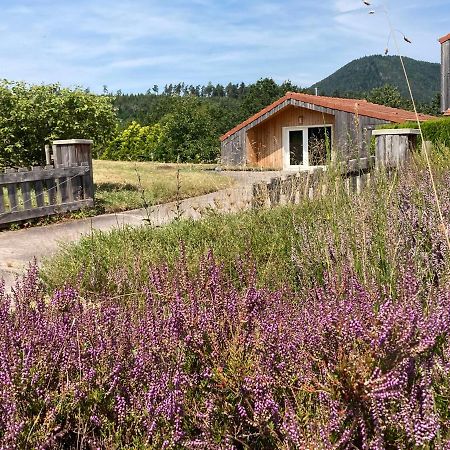 Le Chalet Dans La Nature Saulcy-sur-Meurthe Exterior photo